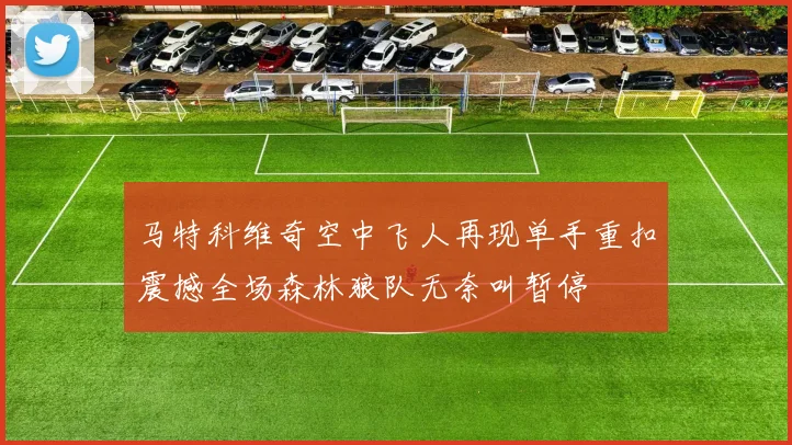 马特科维奇空中飞人再现单手重扣震撼全场森林狼队无奈叫暂停