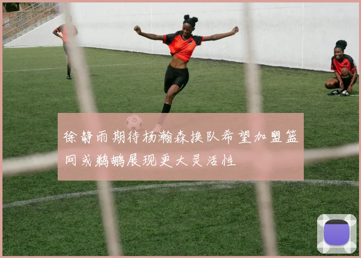 徐静雨期待杨瀚森换队希望加盟篮网或鹈鹕展现更大灵活性