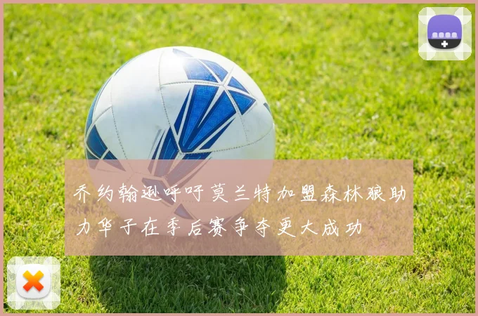 乔约翰逊呼吁莫兰特加盟森林狼助力华子在季后赛争夺更大成功