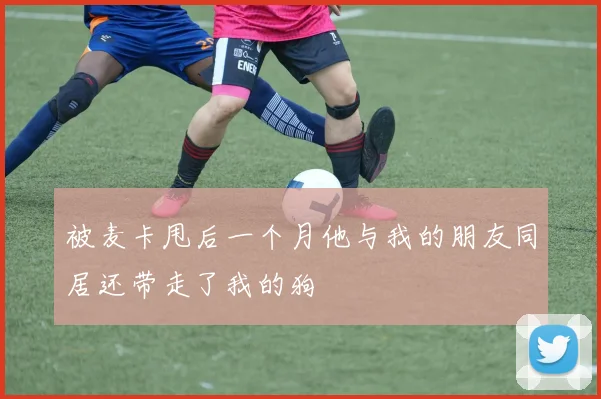 被麦卡甩后一个月他与我的朋友同居还带走了我的狗